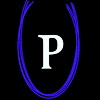 Panshi logo