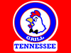 Tennessee Grill Chicken & Pizza logo