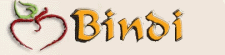 The Bindi logo