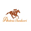 Aintree Tandoori logo