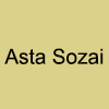 Asta Sozai logo