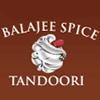 Balajee Spice logo