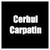 Cerbul Carpatin logo