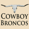 Cowboy Broncos logo