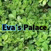 Eva's Palace logo