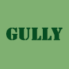 Gully logo