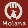 Molana logo