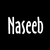 Naseeb logo