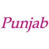Punjab Balti House logo