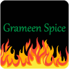 Grameen Spice logo