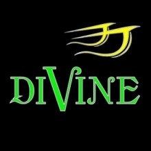 Divine African Restaurant logo