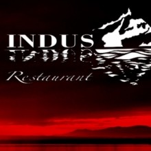 Indus logo