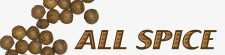 All Spice logo