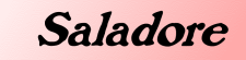 Saladore logo