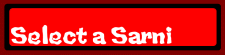 Select A Sarni logo