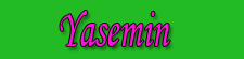 Yasemin logo